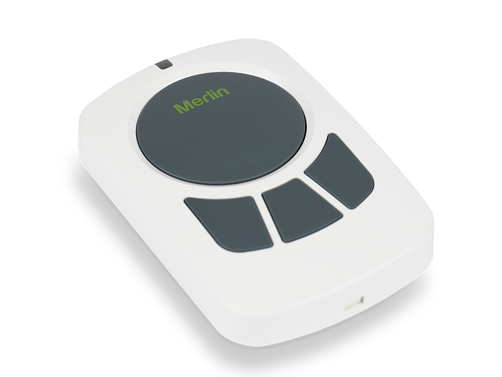Merlin Wall Remote
