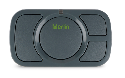 Merlin Car Remote