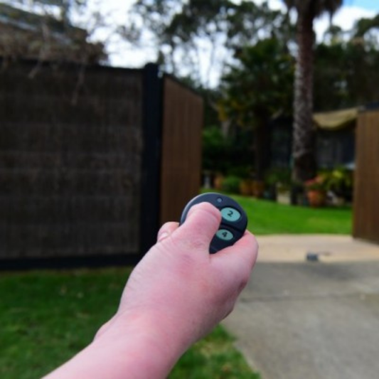 SolarTronics remote in hand